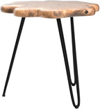 19.5 Inch Live Edge Side Table, Wood Freeform Small End Table - Image 4
