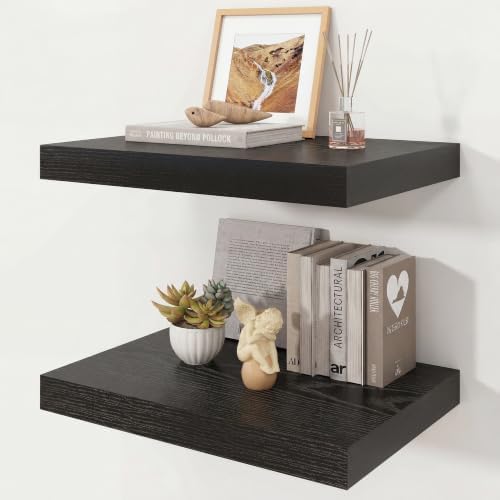 16" Black Floating Shelves 12inch Deep Wall Shelf, Set of 2 by Ornawit