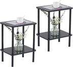 Apicizon 2 Tier End Table Set of 2, Small Side Table by APICIZON