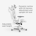 STAPLES Ergonomic Task Chair, Lumbar Support - Image 4