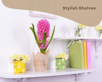 B&B HARDWARE Oversized Cabinet Shelves - Image 2