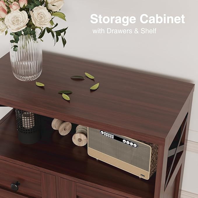 Befrases Set of 2 Dark Brown Storage Cabinet - Image 6