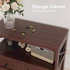 Befrases Set of 2 Dark Brown Storage Cabinet - Image 6