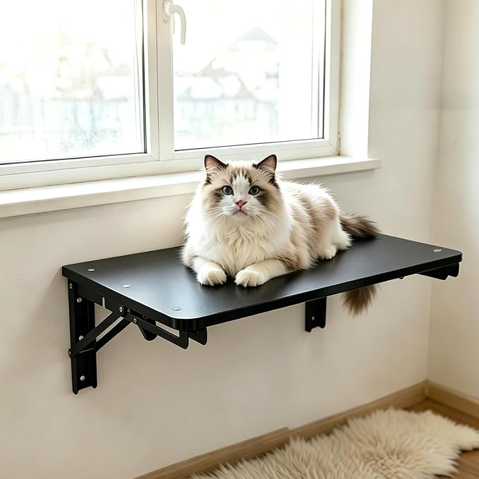 Wooden Folding Shelf Wall Mounted - Image 2