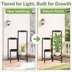 iDavosic.ly Plant Stand Indoor Outdoor, 4 Tier Corner Metal Flower Display - Image 7