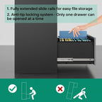 Letaya File Cabinet with Lock-Lateral 2 Drawer Metal Filing - Image 4