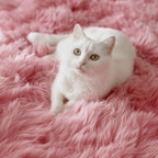 PAGISOFE Shaggy Fluffy Area Rugs Carpets - Image 3