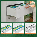 Letaya 2 Drawer Metal Filing Organization Office Cabinets - Image 9