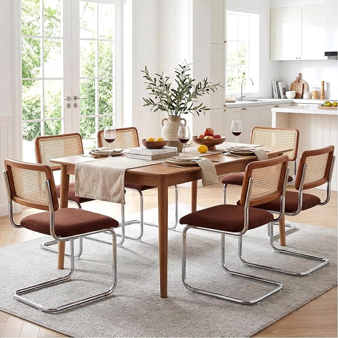 Zesthouse Rattan Dining Chairs Set of 6, Mid Century Modern Dining Room Chairs by Zesthouse