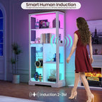 71” Glass Display Cabinet with RGB Light - Image 5