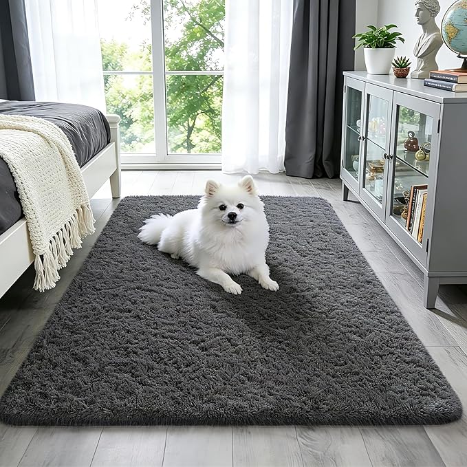 Ophanie 3x5 Rug, Bedside Preppy Dorm Area Rug, College Essentials Non Slip Grey by Ophanie