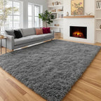 PAGISOFE Grey Area Rugs for Living Room Bedroom Rug 5x8 Rugs Soft Plush Fluffy by PAGISOFE