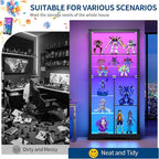HNEBC Glass Display Cabinet - Image 8