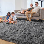 PAGISOFE Grey Area Rugs for Living Room Bedroom Rug 5x8 Rugs Soft Plush Fluffy - Image 2