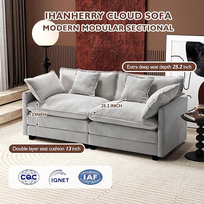 Ihanherry Cloud Sofa 77 Inch Loveseat, Modern Sectional Couch, 2-Seats Sofa - Image 3