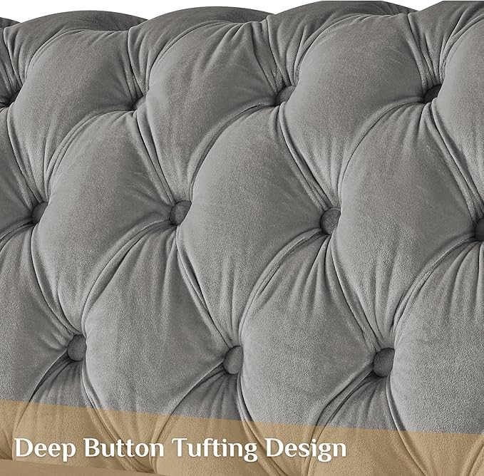 DAMAIFROM Mid Century Modern Chesterfield Sofa Couch, 2 Seat Tufted Sofas - Image 5