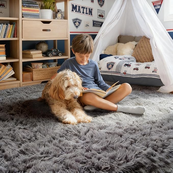PAGISOFE Grey Area Rugs for Living Room Bedroom Rug 5x8 Rugs Soft Plush Fluffy - Image 4