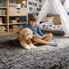 PAGISOFE Grey Area Rugs for Living Room Bedroom Rug 5x8 Rugs Soft Plush Fluffy - Image 4